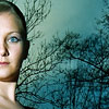 V�dom� / Awareness, 2010