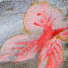 Vlna, 65x65 cm, olej na pl�tn�, 2010